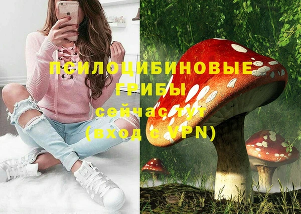 гашик Белоозёрский