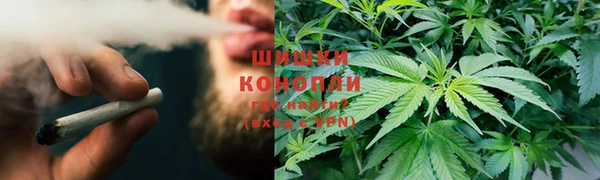 твердый Белокуриха