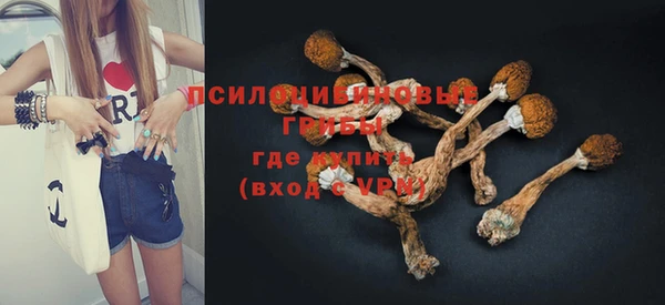 твердый Белокуриха