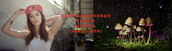 скорость Аркадак