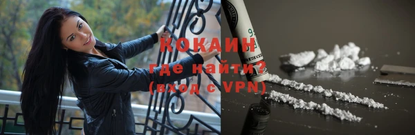 гашик Белоозёрский