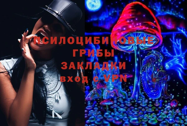 гашик Белоозёрский